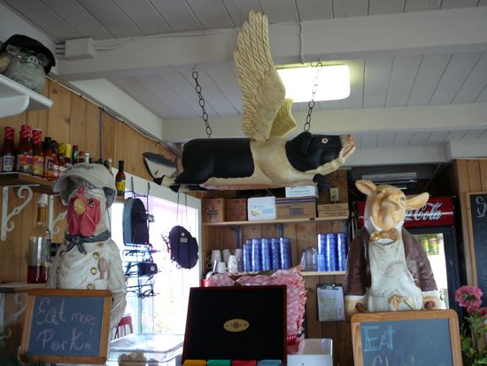 The counter where you order