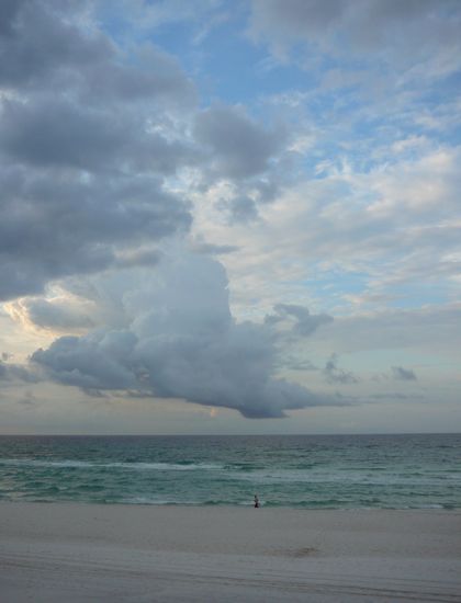 00dayafterthanksgiving 00dayafterthanksgiving