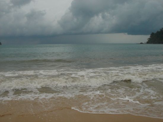 somedayredsandandsurf