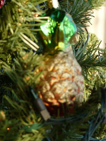 00copineapple 00copineapple