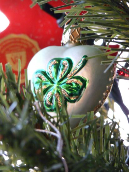 00coshamrock 00coshamrock