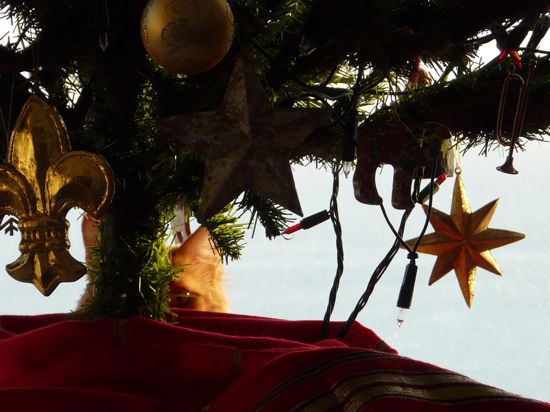 00santaslittlehelper