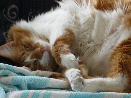 00qcmissesdad 00qcmissesdad