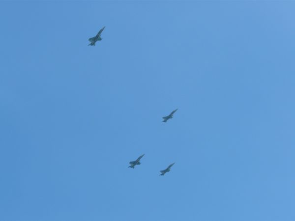 00waggleyourwings 00waggleyourwings