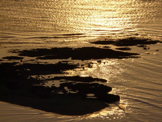 00sparklingwater1 00sparklingwater1