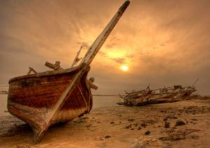 alo14-040909pc alo14-040909pc