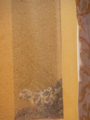 00DaddyPigeon 00DaddyPigeon