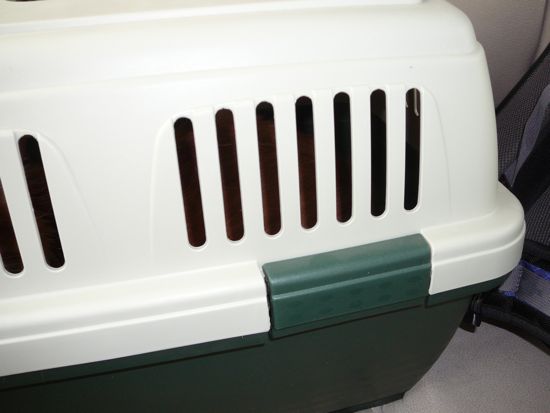 00DriveToAirport 00DriveToAirport