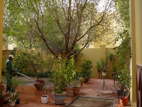 00GreenGarden 00GreenGarden