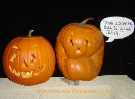 hobased_2074_101729928