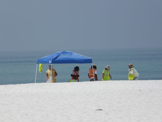 00BeachCleanUpWorkers