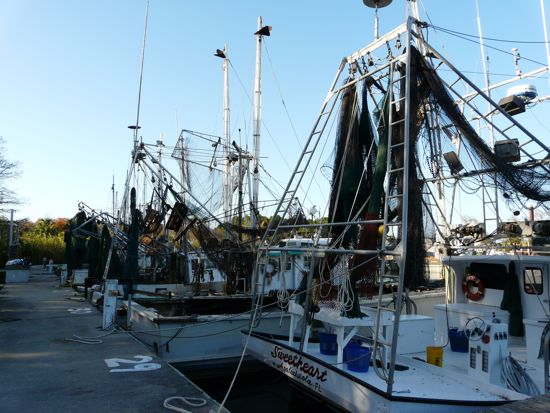 00ApalachicolaShrimpBoats