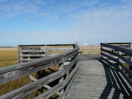 00APNatureWalktoEstuary