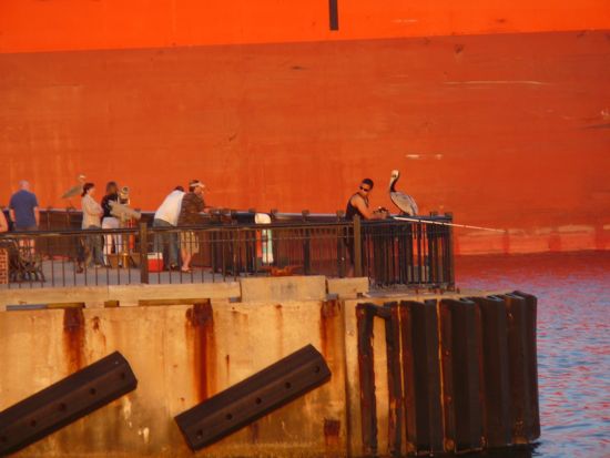 00FishingOffThe Pier