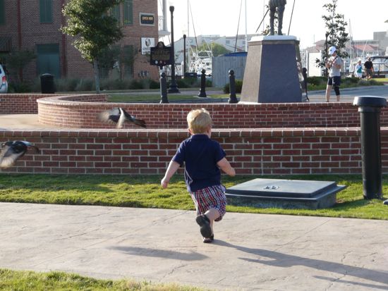 00EvenMoreChasingPigeons