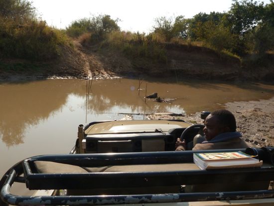 00DaudiAdvisesHangOn