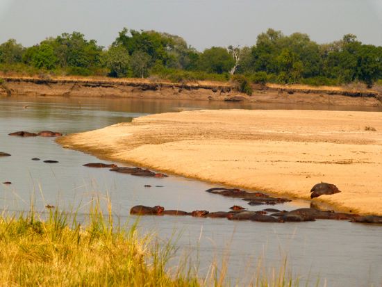 00MorningTeaAtHippoSunningBeach