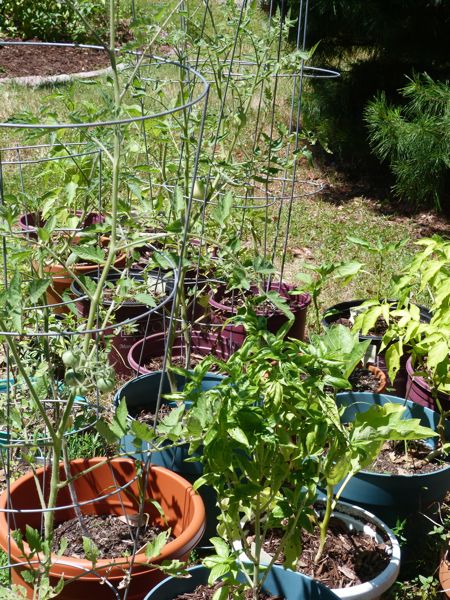 00AdventuremansGarden