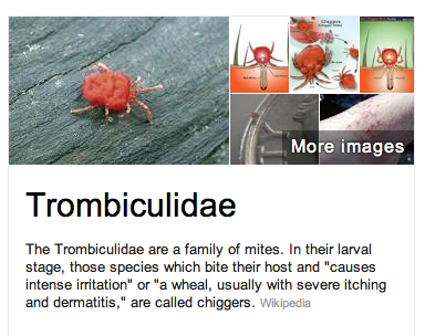 Screen shot 2012-11-24 at 3.13.31 PM