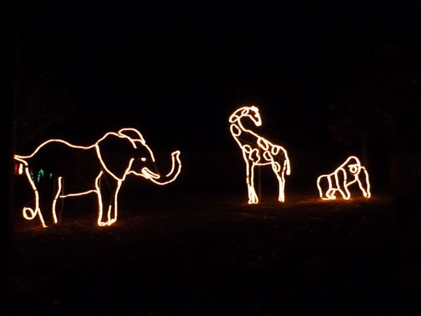 00PensacolaZooAnimalLights