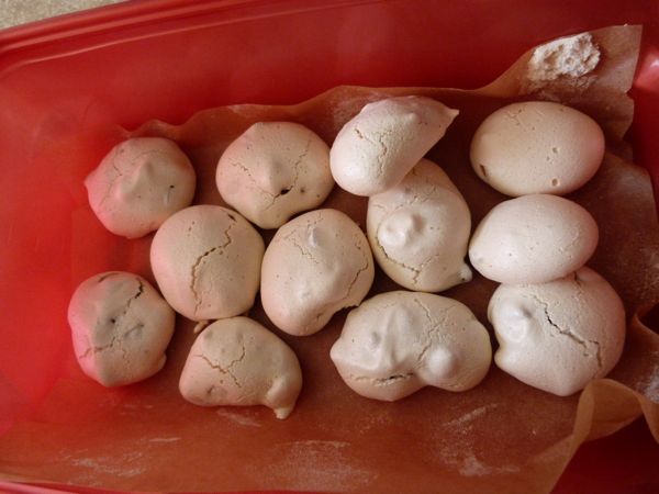 00WhiteMintChocolateMeringues