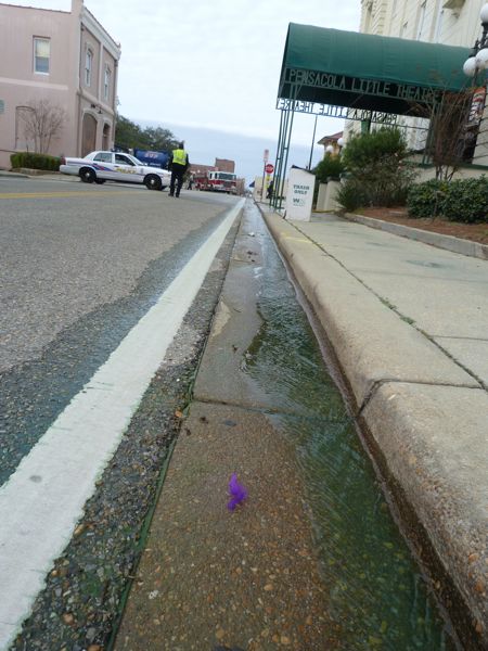 00MardiGrasWalkForEducation