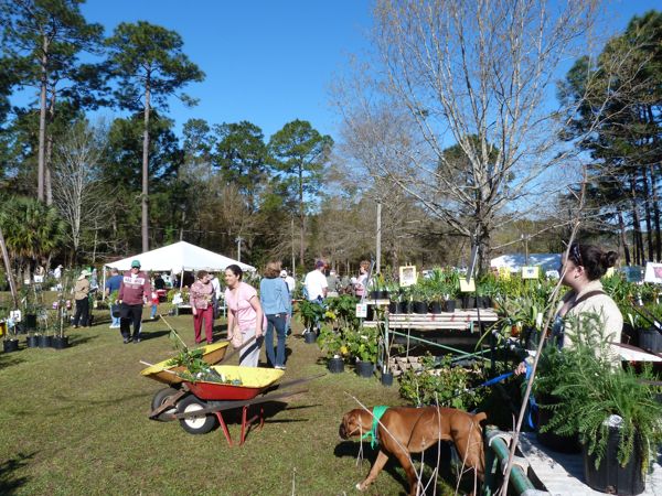 00MobilePlantSaleOverview