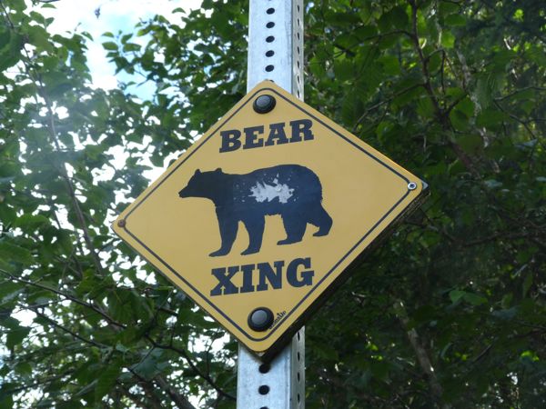 00BearCrossingSign