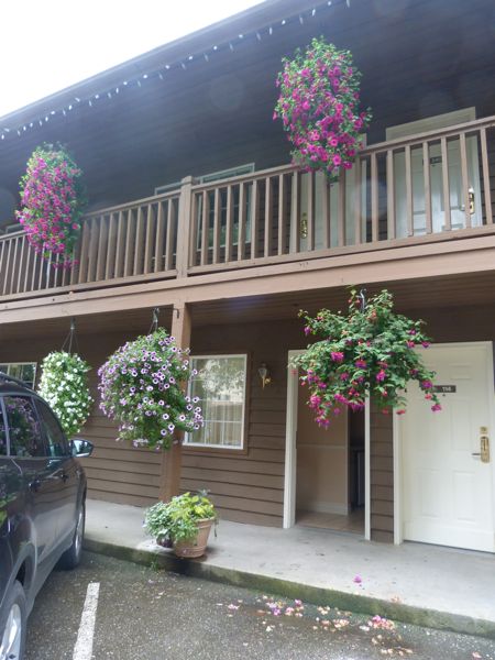 00BWCountryLanesFucshias