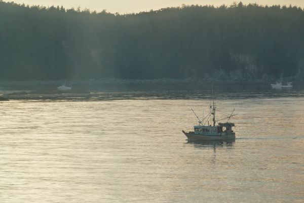 00FishingBoatNearPelican