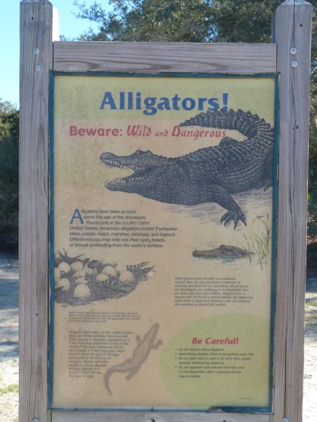 00SignAlligatorInformational