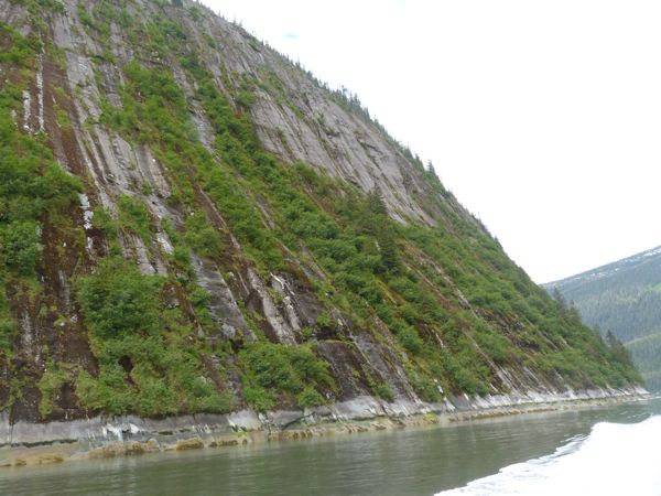 00TracyArmsSheerWalls