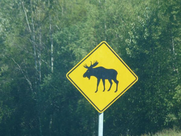 00MooseCrossingSign
