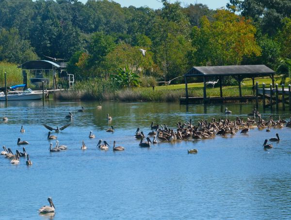 00LunchMeetingBayouTexar2