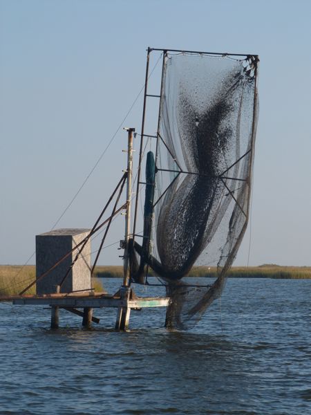 00PointeAuxChenesNet