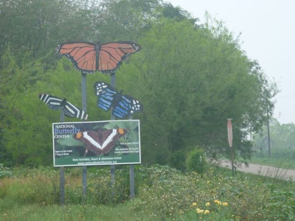 00ButterflyCenterSign
