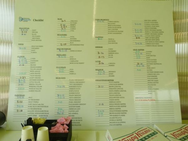 00ButterflySightingList