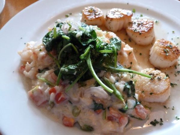 00ScallopsWithRisotto