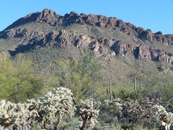 00SonoranDesertLandscape