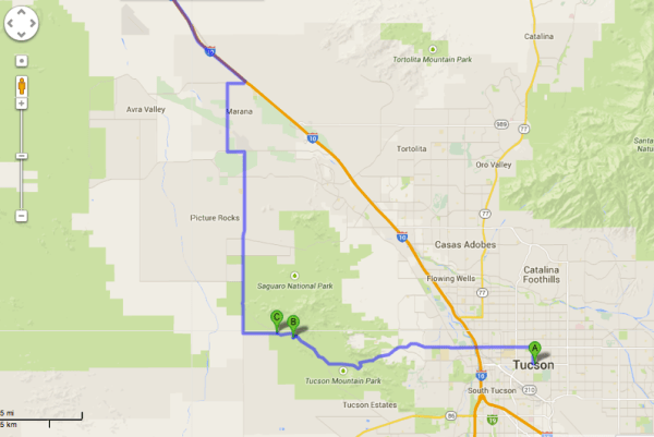 TucsonMuseumSaguaroForest