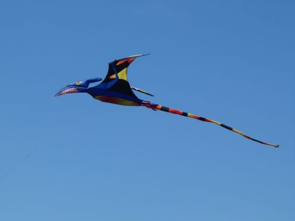 00AlternateKite