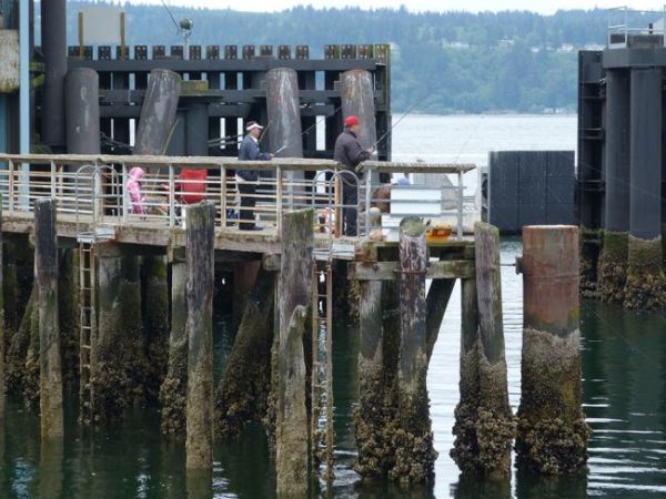 00FisherpeopleMukilteo