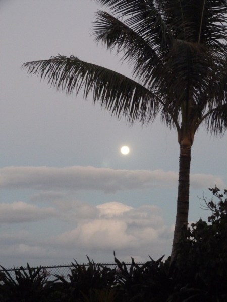 BeachMoon