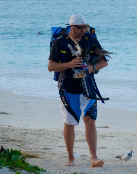 BirdManKailuaBeach