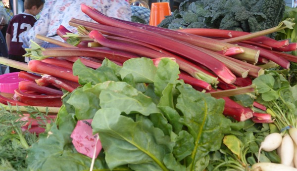 Rhubarb
